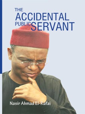 cover image of The Accidental Public Servant
